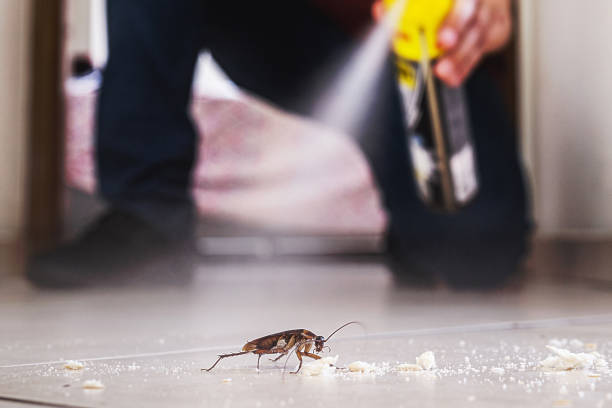 Best Commercial Pest Control Services  in Yerington, NV